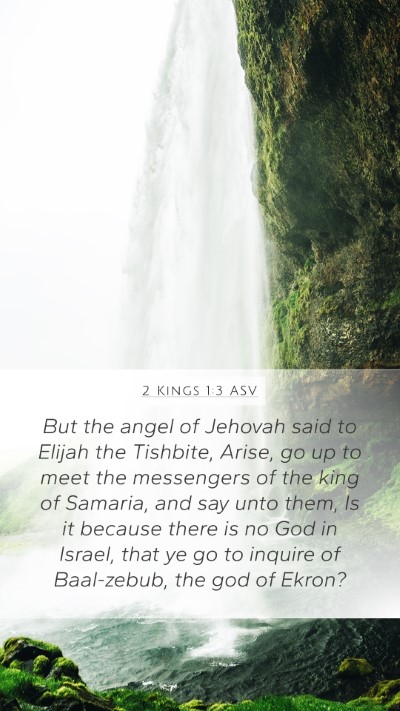 2 Kings 1:3 ASV Bible Verse Image