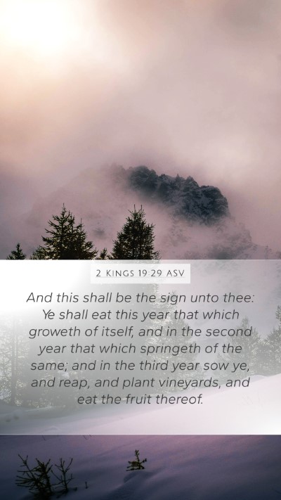 2 Kings 19:29 ASV Bible Verse Image