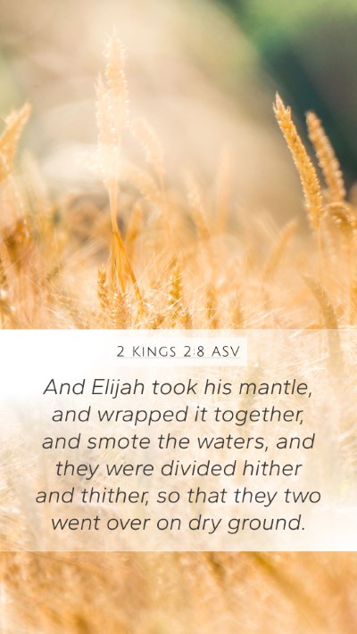 2 Kings 2:8 ASV Bible Verse Image
