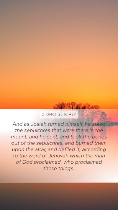 2 Kings 23:16 ASV Bible Verse Image