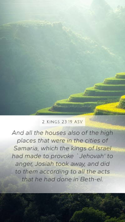 2 Kings 23:19 ASV Bible Verse Image