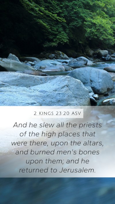 2 Kings 23:20 ASV Bible Verse Image