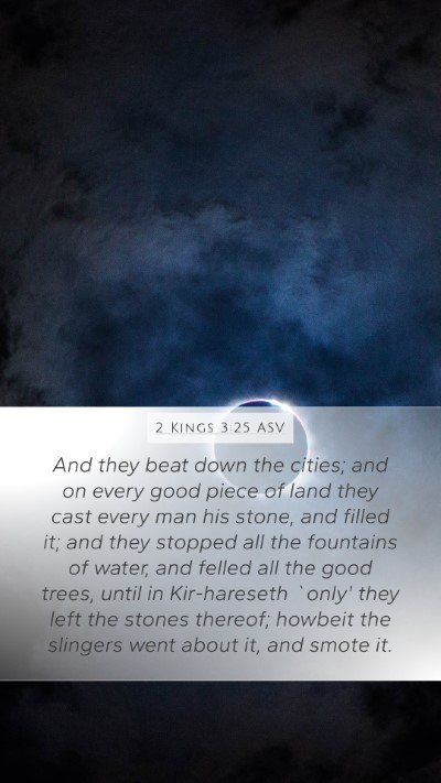 2 Kings 3:25 ASV Bible Verse Image