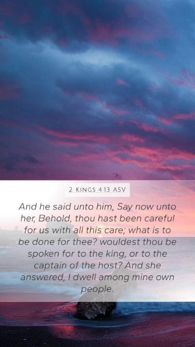 2 Kings 4:13 ASV Bible Verse Image