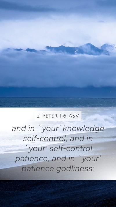 2 Peter 1:6 ASV Bible Verse Image
