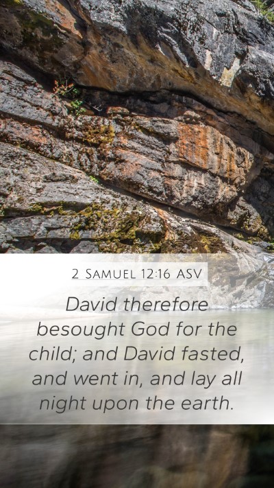 2 Samuel 12:16 ASV Bible Verse Image