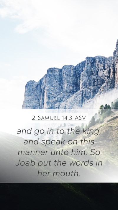 2 Samuel 14:3 ASV Mobile Phone Wallpaper - and go in to the king, and speak on this manner - Mobile Bible Verse Wallpaper