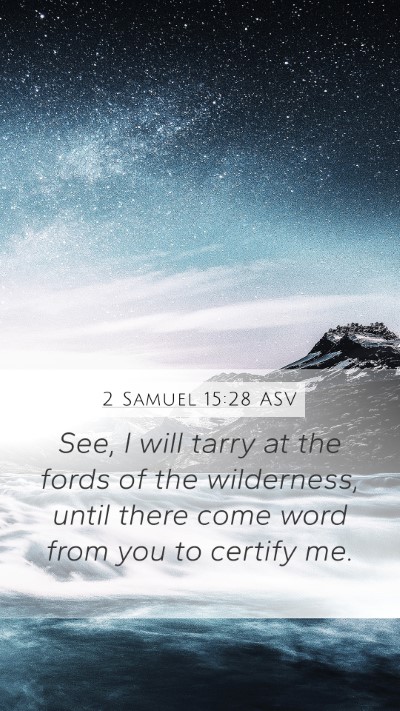 2 Samuel 15:28 ASV Bible Verse Image