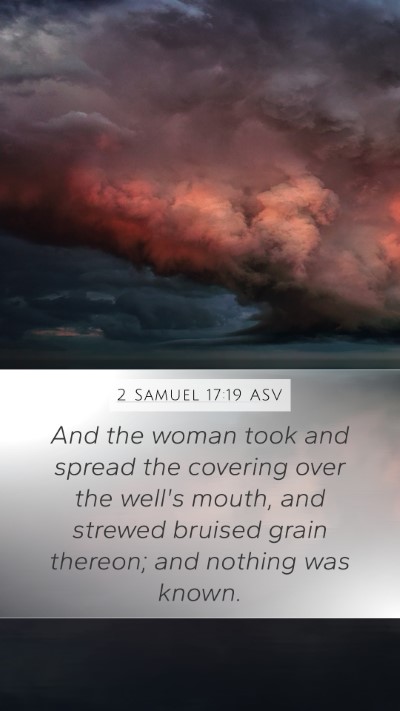 2 Samuel 17:19 ASV Bible Verse Image