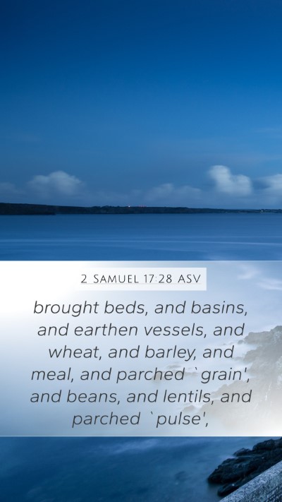 2 Samuel 17:28 ASV Bible Verse Image