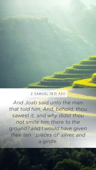 2 Samuel 18:11 ASV Bible Verse Image