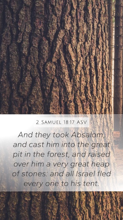 2 Samuel 18:17 ASV Bible Verse Image