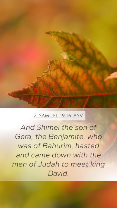 2 Samuel 19:16 ASV Bible Verse Image