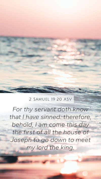 2 Samuel 19:20 ASV Bible Verse Image
