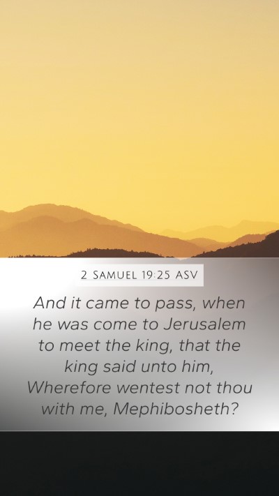 2 Samuel 19:25 ASV Bible Verse Image