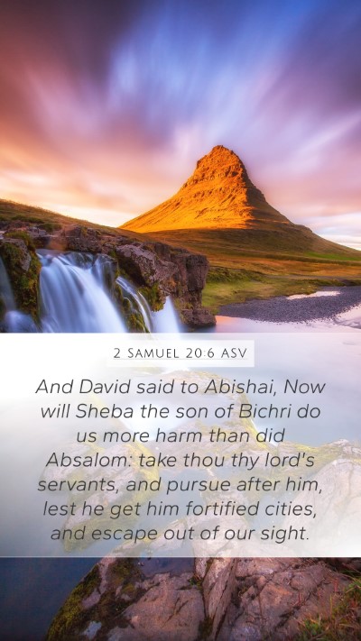 2 Samuel 20:6 ASV Bible Verse Image