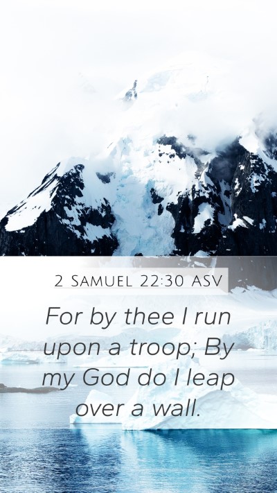 2 Samuel 22:30 ASV Bible Verse Image