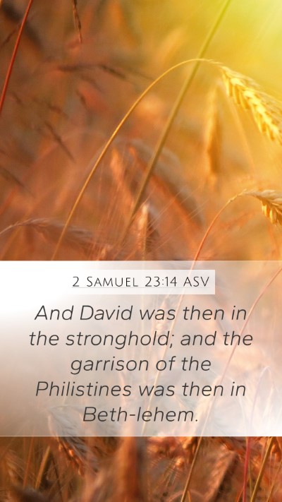 2 Samuel 23:14 ASV Bible Verse Image