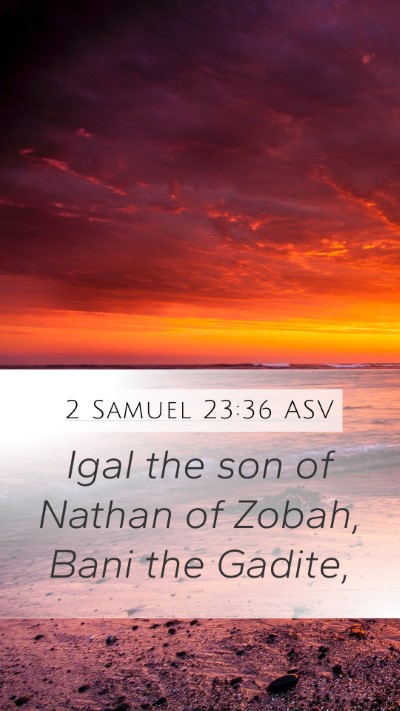 2 Samuel 23:36 ASV Mobile Phone Wallpaper - Igal the son of Nathan of Zobah, Bani the - Mobile Bible Verse Wallpaper