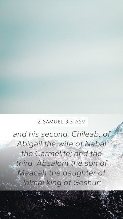 2 Samuel 3:3 ASV Bible Verse Image