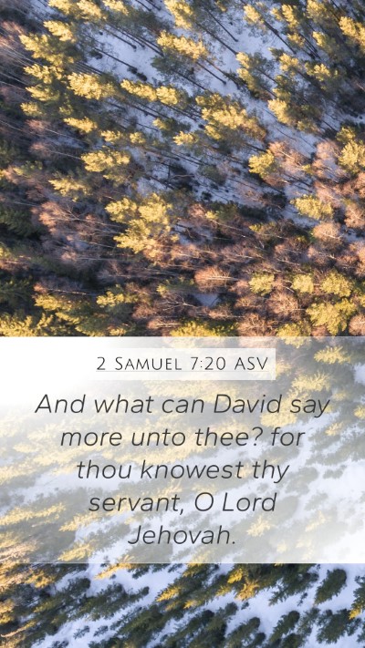 2 Samuel 7:20 ASV Bible Verse Image