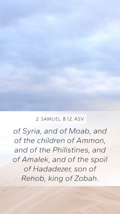 2 Samuel 8:12 ASV Bible Verse Image