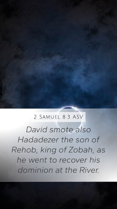 2 Samuel 8:3 ASV Bible Verse Image