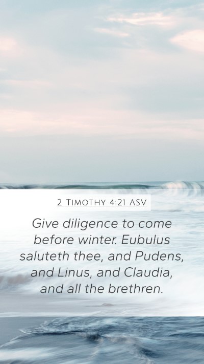 2 Timothy 4:21 ASV Bible Verse Image