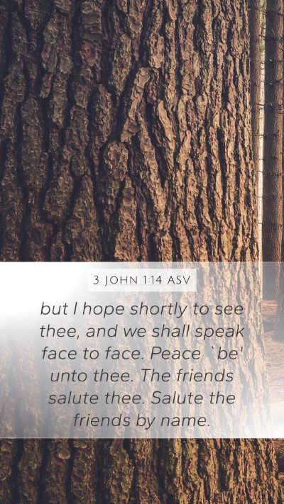 3 John 1:14 ASV Bible Verse Image