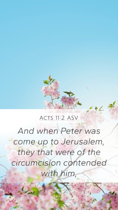 Acts 11:2 ASV Bible Verse Image