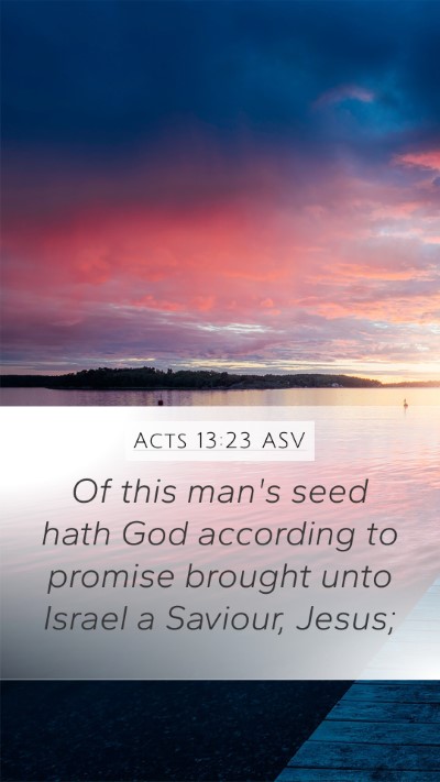Acts 13:23 ASV Bible Verse Image