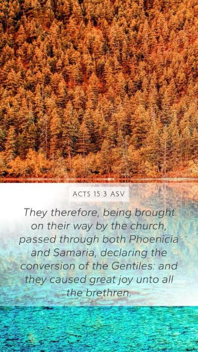 Acts 15:3 ASV Bible Verse Image