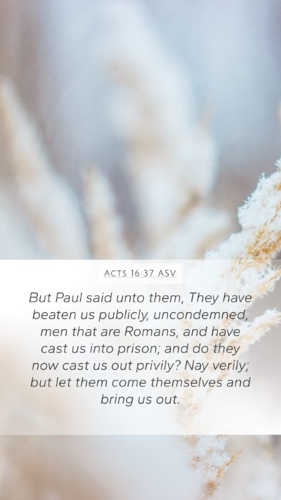 Acts 16:37 ASV Bible Verse Image