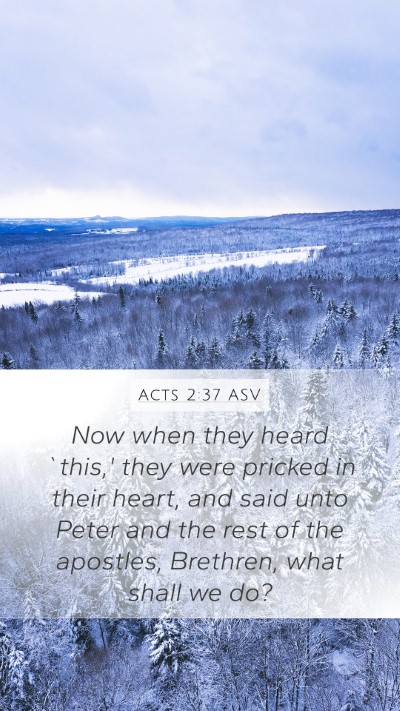 Acts 2:37 ASV Bible Verse Image