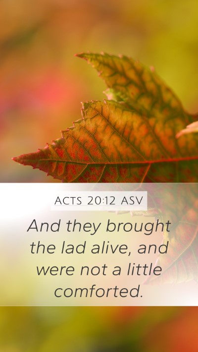 Acts 20:12 ASV Bible Verse Image