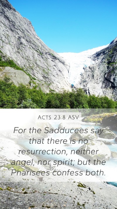 Acts 23:8 ASV Bible Verse Image