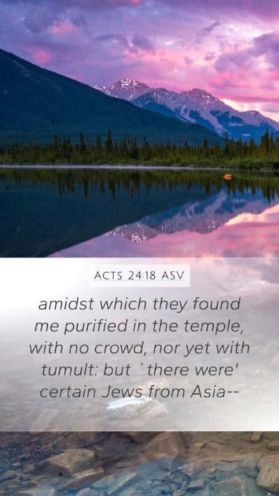 Acts 24:18 ASV Bible Verse Image