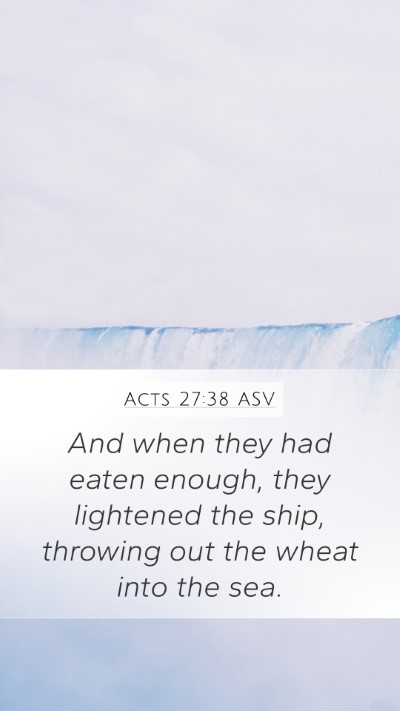 Acts 27:38 ASV Bible Verse Image