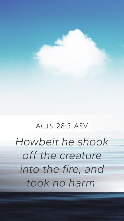Acts 28:5 ASV Bible Verse Image