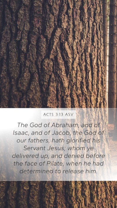 Acts 3:13 ASV Bible Verse Image