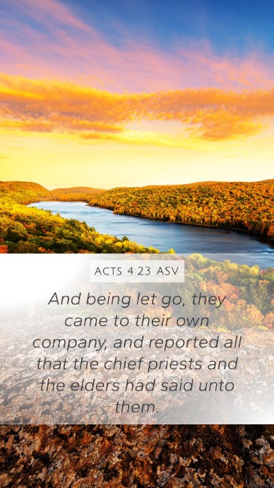 Acts 4:23 ASV Bible Verse Image