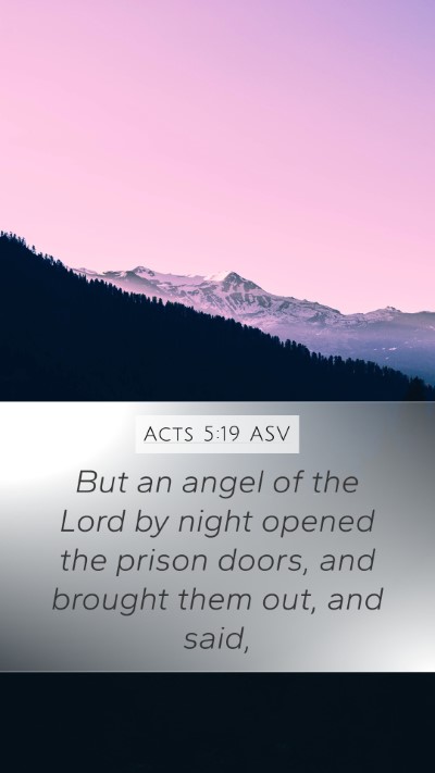 Acts 5:19 ASV Bible Verse Image
