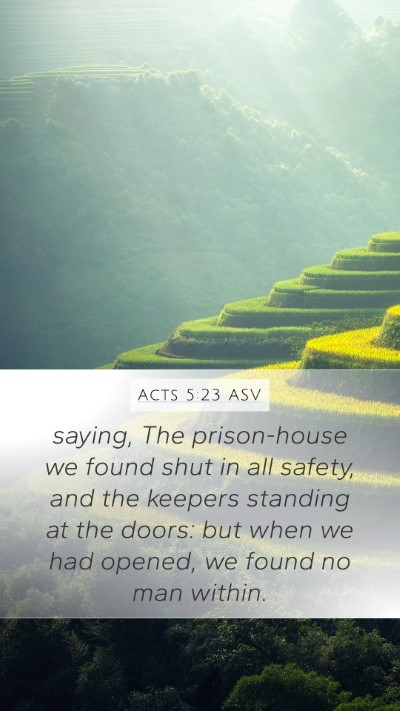 Acts 5:23 ASV Bible Verse Image