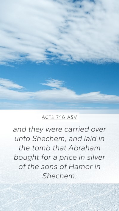 Acts 7:16 ASV Bible Verse Image