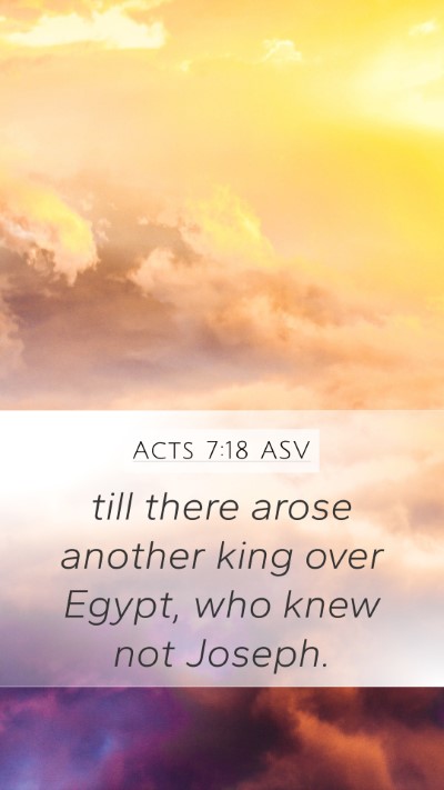 Acts 7:18 ASV Mobile Phone Wallpaper - till there arose another king over Egypt, who - Mobile Bible Verse Wallpaper