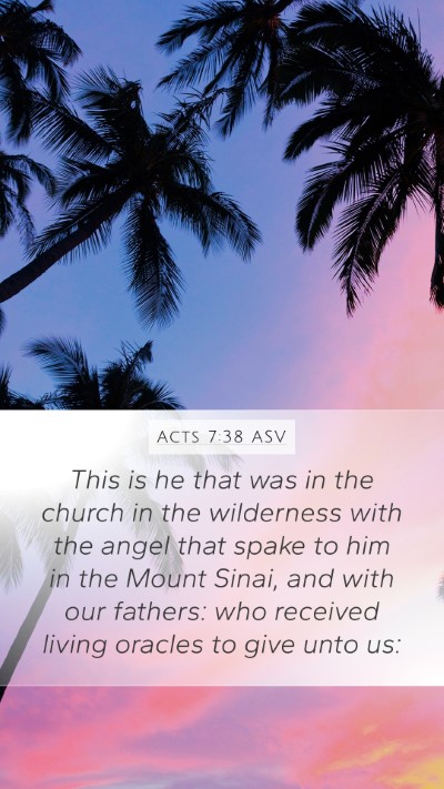 Acts 7:38 ASV Bible Verse Image