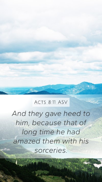 Acts 8:11 ASV Bible Verse Image
