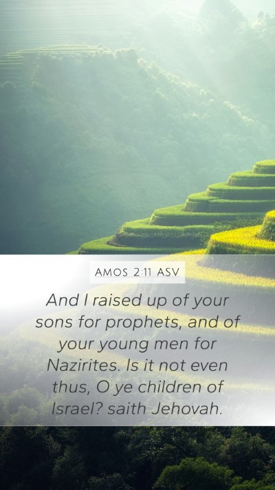 Amos 2:11 ASV Bible Verse Image