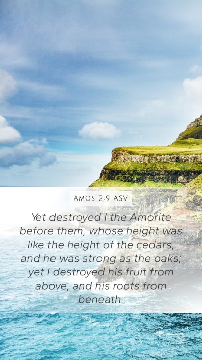 Amos 2:9 ASV Bible Verse Image