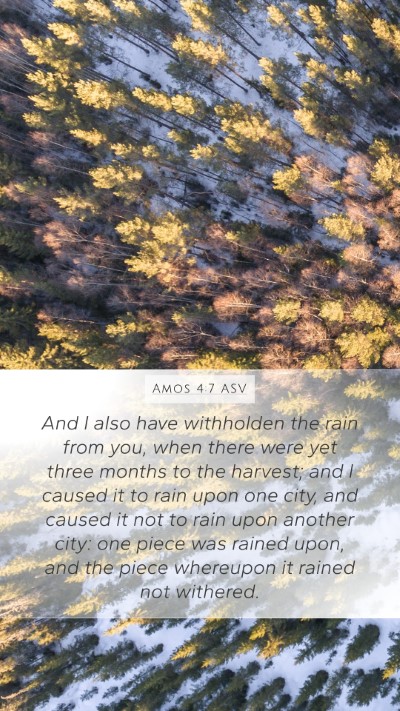 Amos 4:7 ASV Bible Verse Image